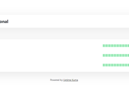 Uptime Kuma 一个漂亮又实用的专属网站监控