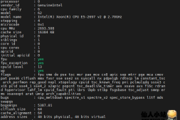 仙人个人常用VPS指令&脚本-5月版