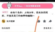 去除Via的资源嗅探限制教程