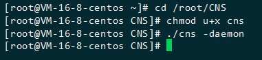 CNS服务器一键搭建教程脚本