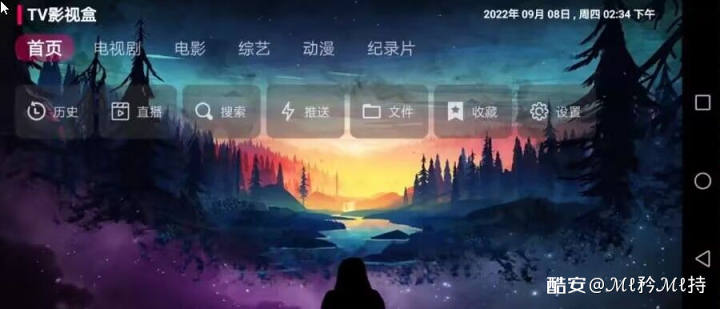 TVBOX 系列(TVBOX原版+各种修改版),附常维护的影视源网络接口