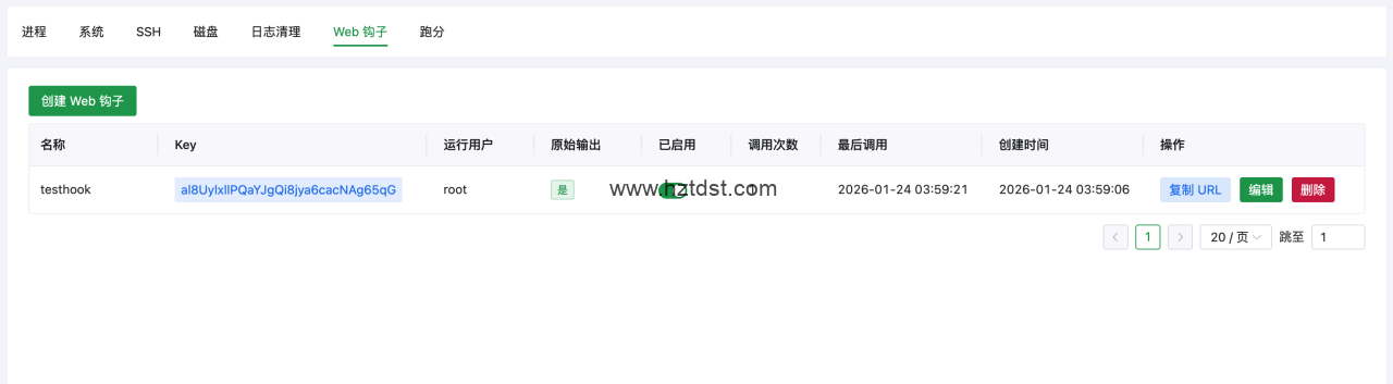 AcePanel（原耗子面板）3.0 正式发布